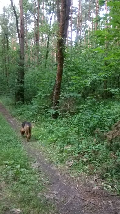 WP_20170709_16_46_01_Pro.jpg