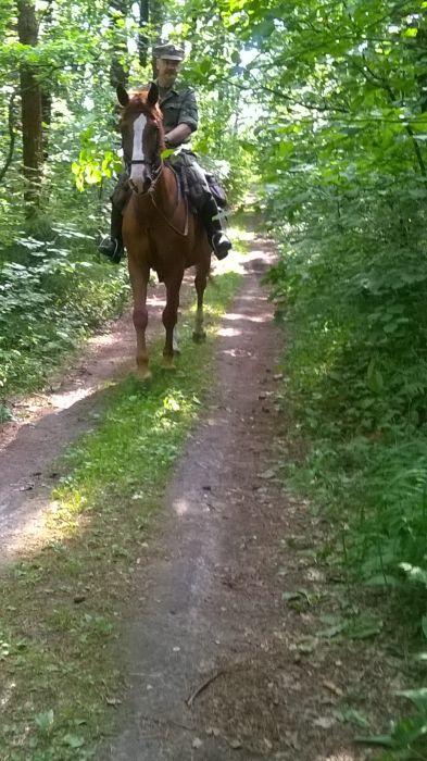 WP_20170709_16_52_23_Pro.jpg