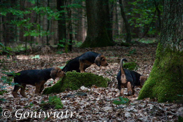 DSC_0688.jpg