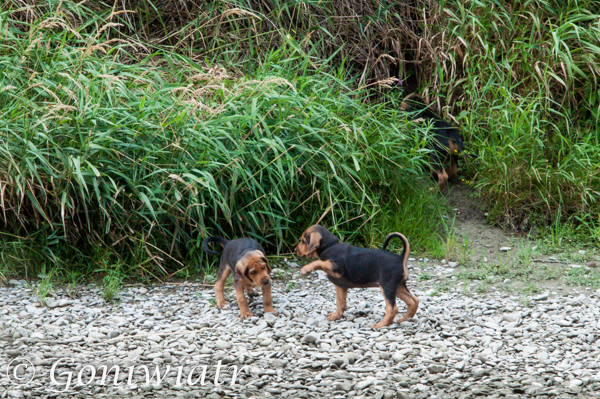 DSC_0851.jpg
