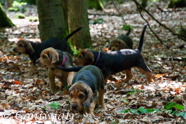 DSC_0667.jpg