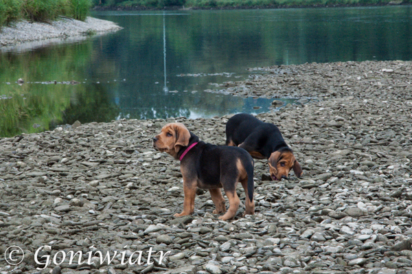 DSC_0834.jpg