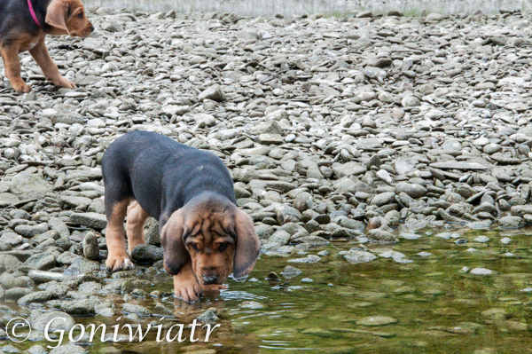 DSC_0847.jpg
