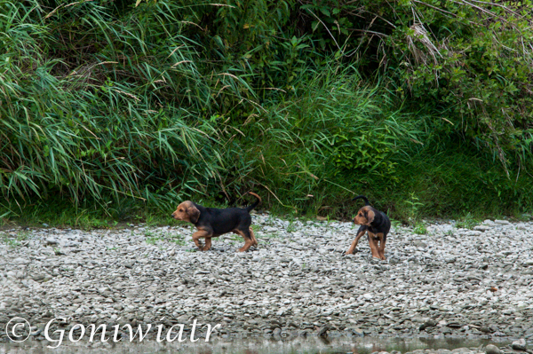 DSC_0849.jpg