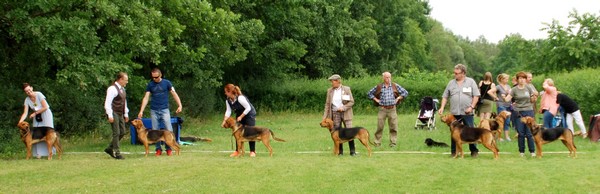 DSC_0625.JPG