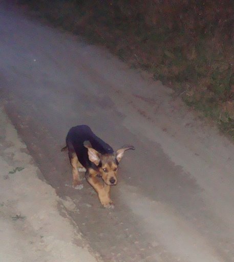 nietoperek :wow_3: