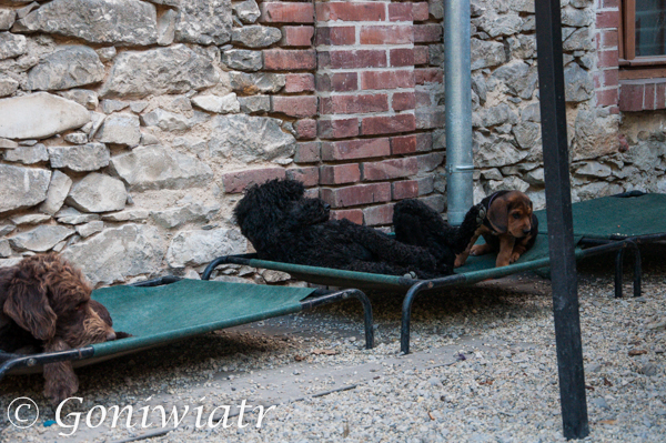 Ronja w pelnym relaxie