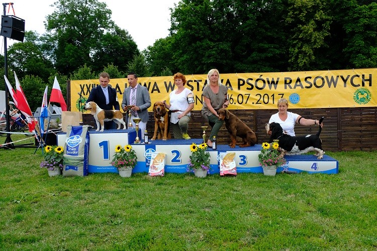 Basior w finalach zmn.jpg