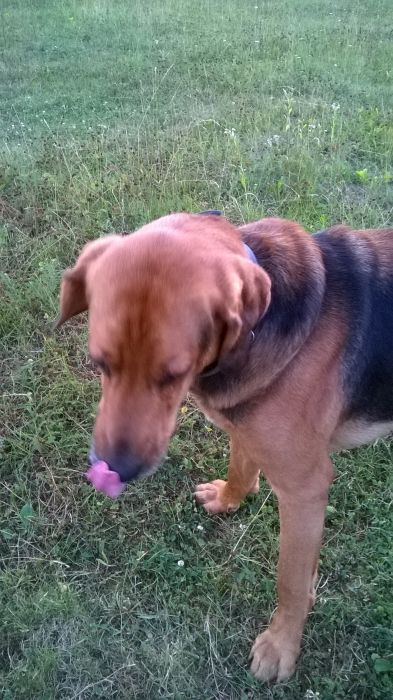 WP_20170711_20_14_01_Pro.jpg