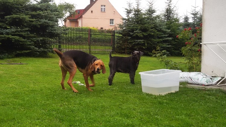 Lorna i Urga