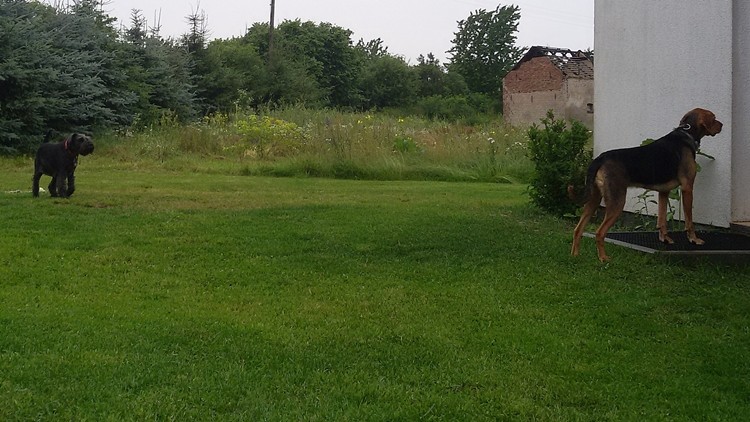 W domu też ciekawie &quot;pachni&quot;