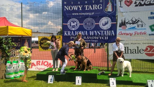 Kobieta i pies(y) Małgosia znowu górą.jpg
