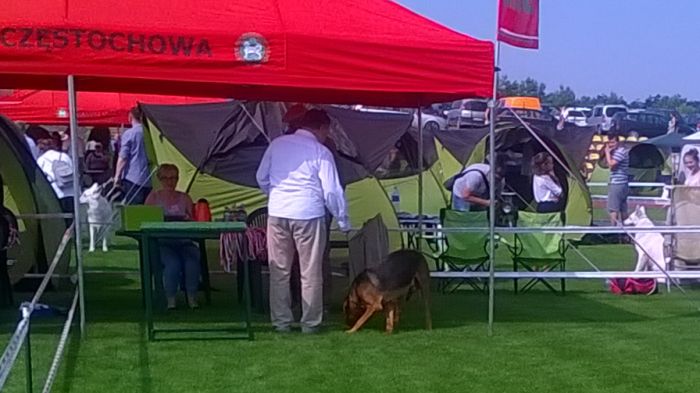 WP_20170722_10_09_50_Pro.jpg