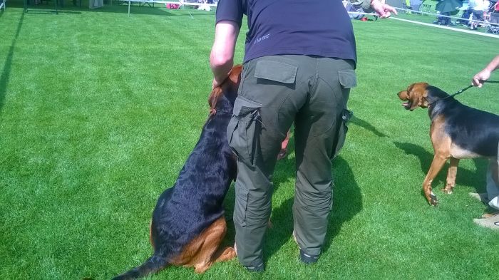 WP_20170722_10_11_16_Pro.jpg