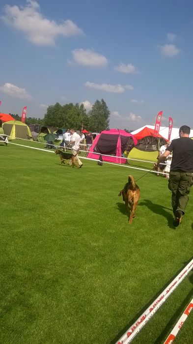 WP_20170722_10_11_30_Pro.jpg