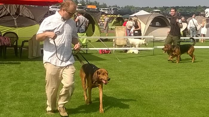 WP_20170722_10_11_36_Pro.jpg