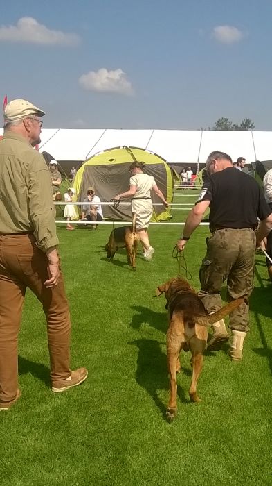 WP_20170722_10_24_17_Pro.jpg
