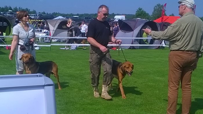 WP_20170722_10_25_02_Pro.jpg