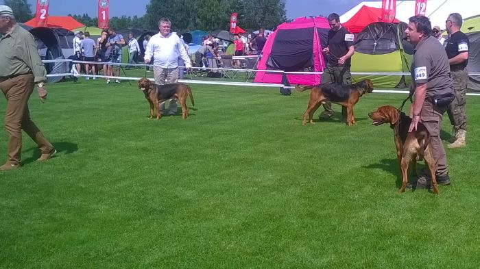 WP_20170722_10_34_13_Pro.jpg