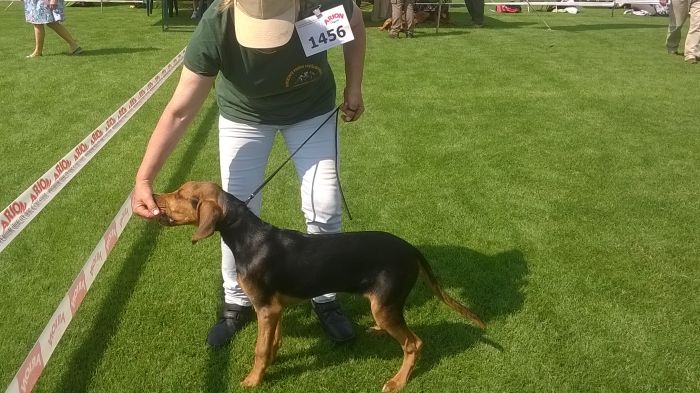 WP_20170722_10_35_26_Pro.jpg