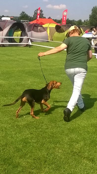 WP_20170722_10_37_06_Pro.jpg
