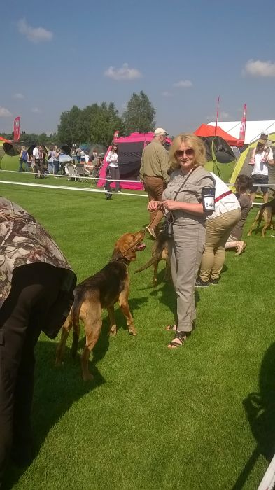 WP_20170722_10_40_12_Pro.jpg