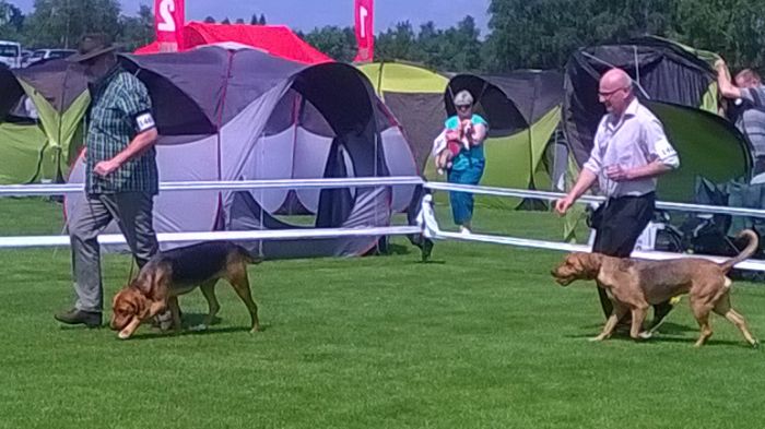WP_20170722_10_57_19_Pro.jpg