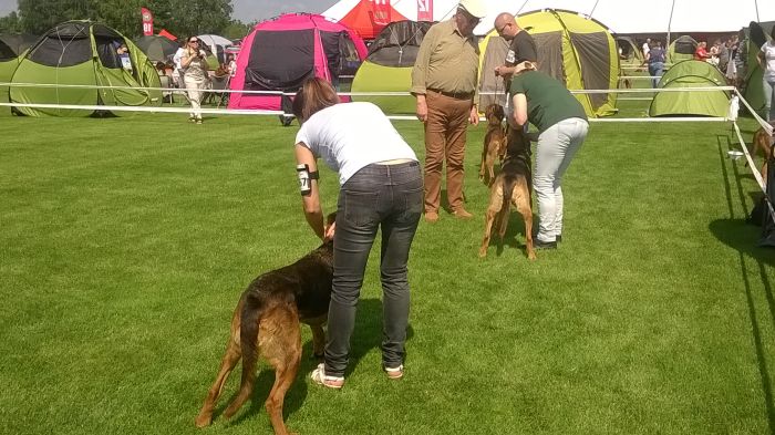 WP_20170722_11_01_18_Pro.jpg