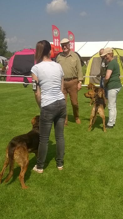 WP_20170722_11_01_22_Pro.jpg