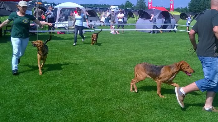 WP_20170722_11_01_49_Pro.jpg