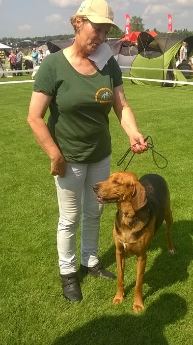 WP_20170722_11_10_02_Pro.jpg