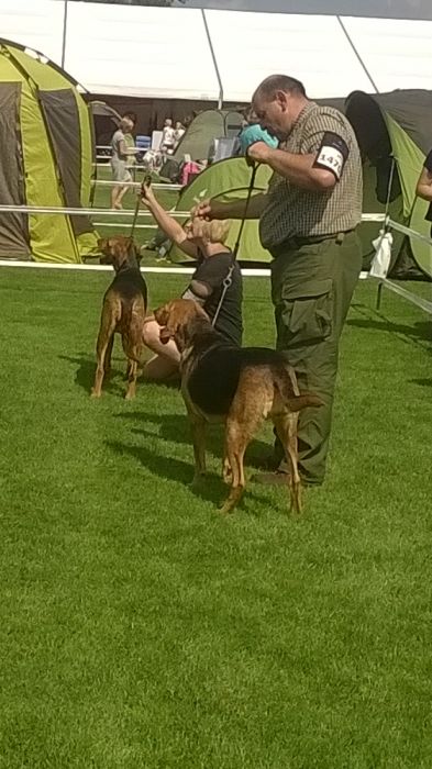 WP_20170722_11_12_38_Pro.jpg