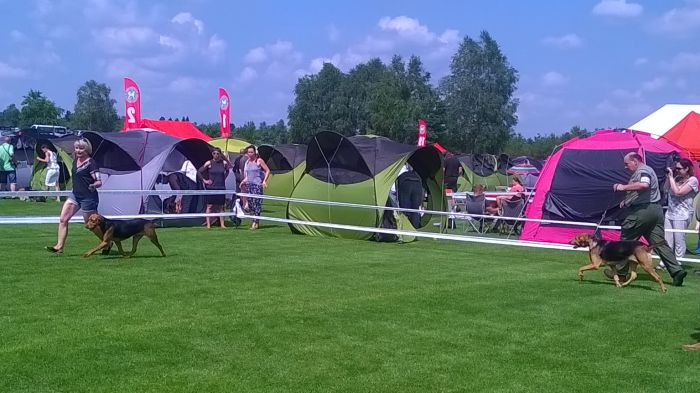 WP_20170722_11_12_55_Pro.jpg
