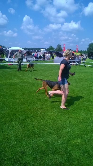 WP_20170722_11_13_00_Pro.jpg
