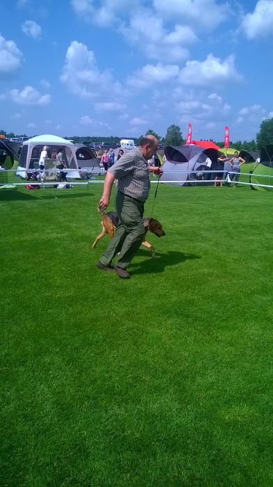 WP_20170722_11_13_02_Pro.jpg