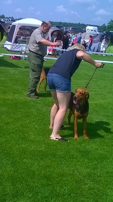 WP_20170722_11_13_14_Pro.jpg