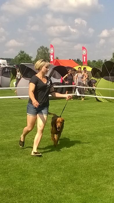 WP_20170722_11_13_31_Pro.jpg