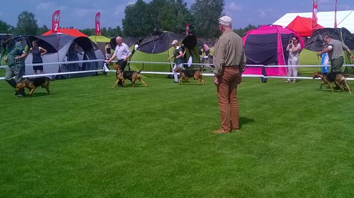 WP_20170722_11_17_30_Pro.jpg