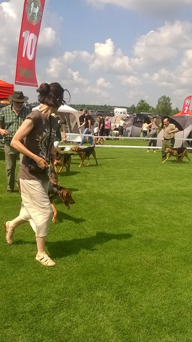 WP_20170722_11_17_48_Pro.jpg