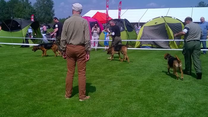 WP_20170722_11_25_37_Pro.jpg