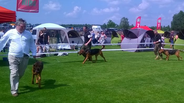 WP_20170722_11_25_41_Pro.jpg