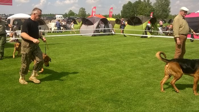 WP_20170722_11_25_46_Pro.jpg