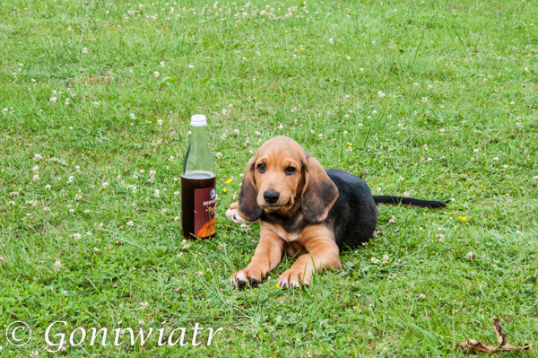 Deren´ z &quot;Pepsi&quot;