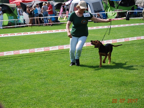 Figa