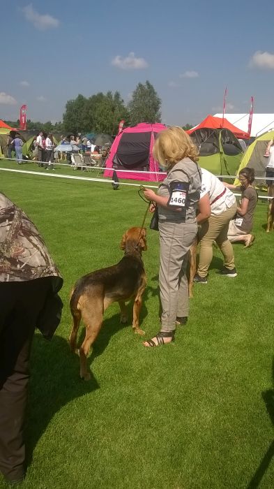WP_20170722_10_40_06_Pro.jpg