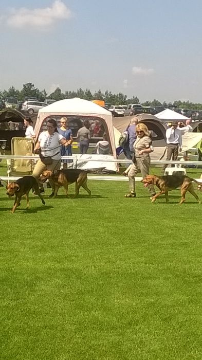 WP_20170722_10_43_09_Pro.jpg