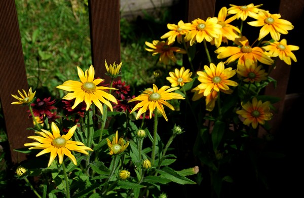 DSC_0644.JPG