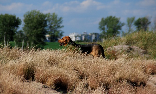 DSC_0686.JPG