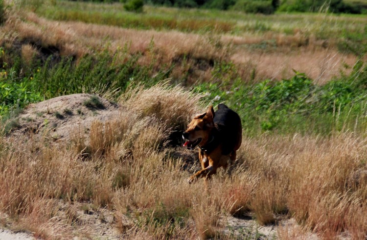 DSC_0689.JPG
