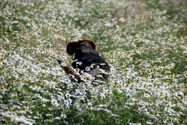 DSC_0754.JPG